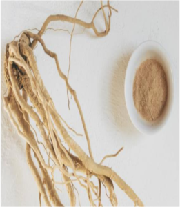 Ashwagandha is an evergreenshrub native to India, Africa, and the Middle East, long used in Ayurvedic medicine for its health-promoting properties. Its key bioactive compounds are withanolides, which have demonstrated anti-inflammatory and antioxidant effects. Today, ashwagandha is commonly available as a dietary supplement and is often marketed for supporting stress reduction, sleep quality, male fertility, and athletic performance. Most supplements use extracts from the root, leaf, or a combination of both.